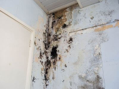About water damage restoration service - burst pipe water damage experts in Palm Bay